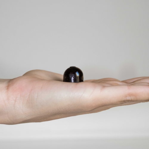 REFOCUS GUMMIES - MUSHROOM BLEND FOR CONCENTRATION & MEMORY. LIMITED EDITION.